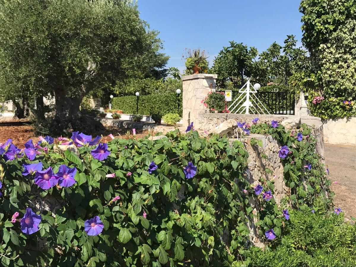 Il Trullo Di Nonno Angelo San Marco Hotel Locorotondo Ngoại thất bức ảnh