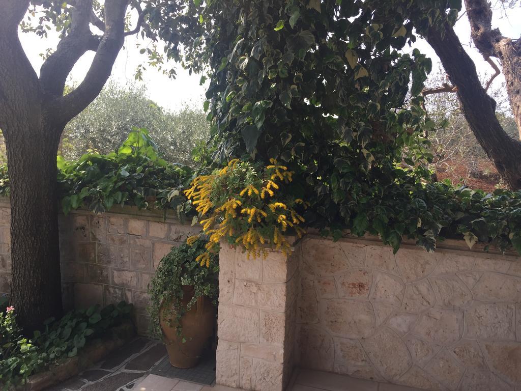 Il Trullo Di Nonno Angelo San Marco Hotel Locorotondo Ngoại thất bức ảnh
