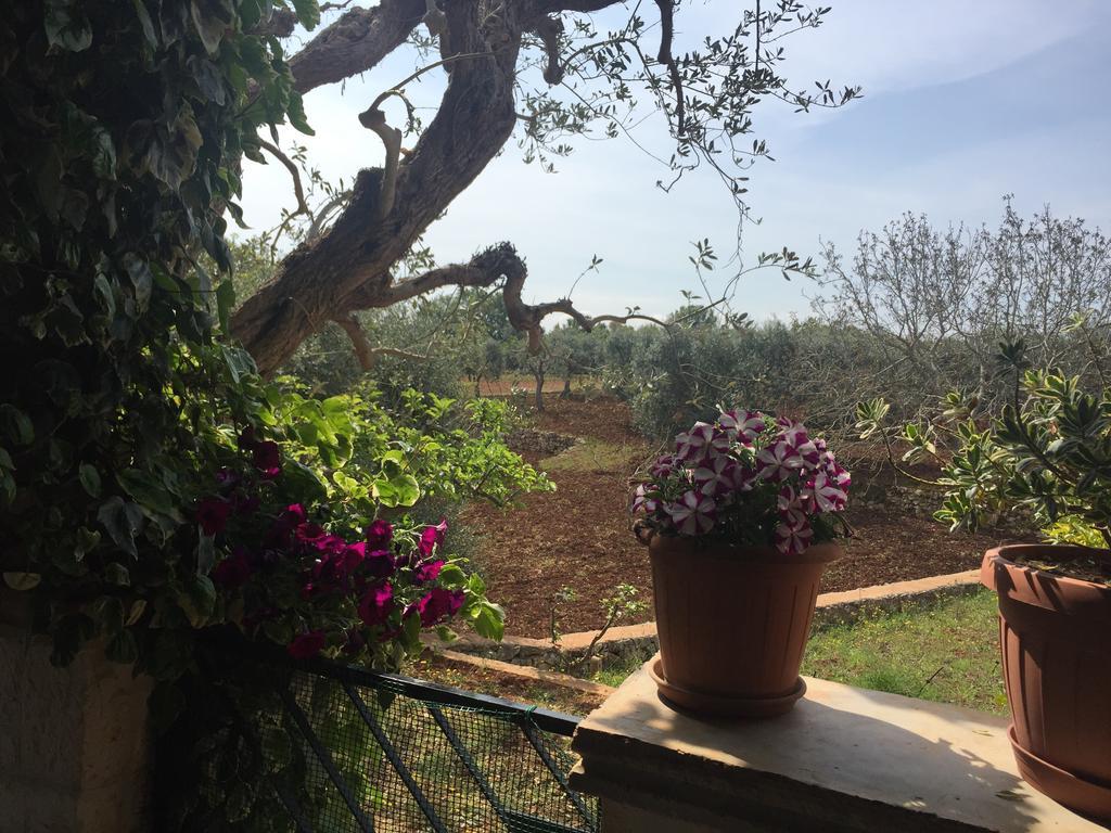 Il Trullo Di Nonno Angelo San Marco Hotel Locorotondo Ngoại thất bức ảnh