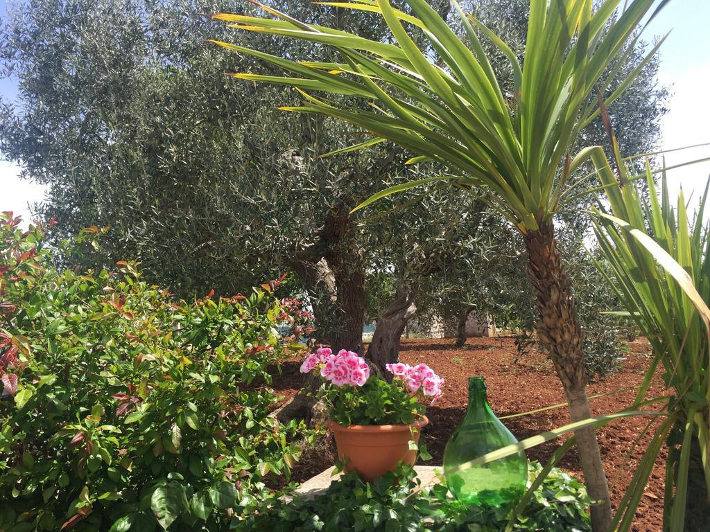 Il Trullo Di Nonno Angelo San Marco Hotel Locorotondo Ngoại thất bức ảnh