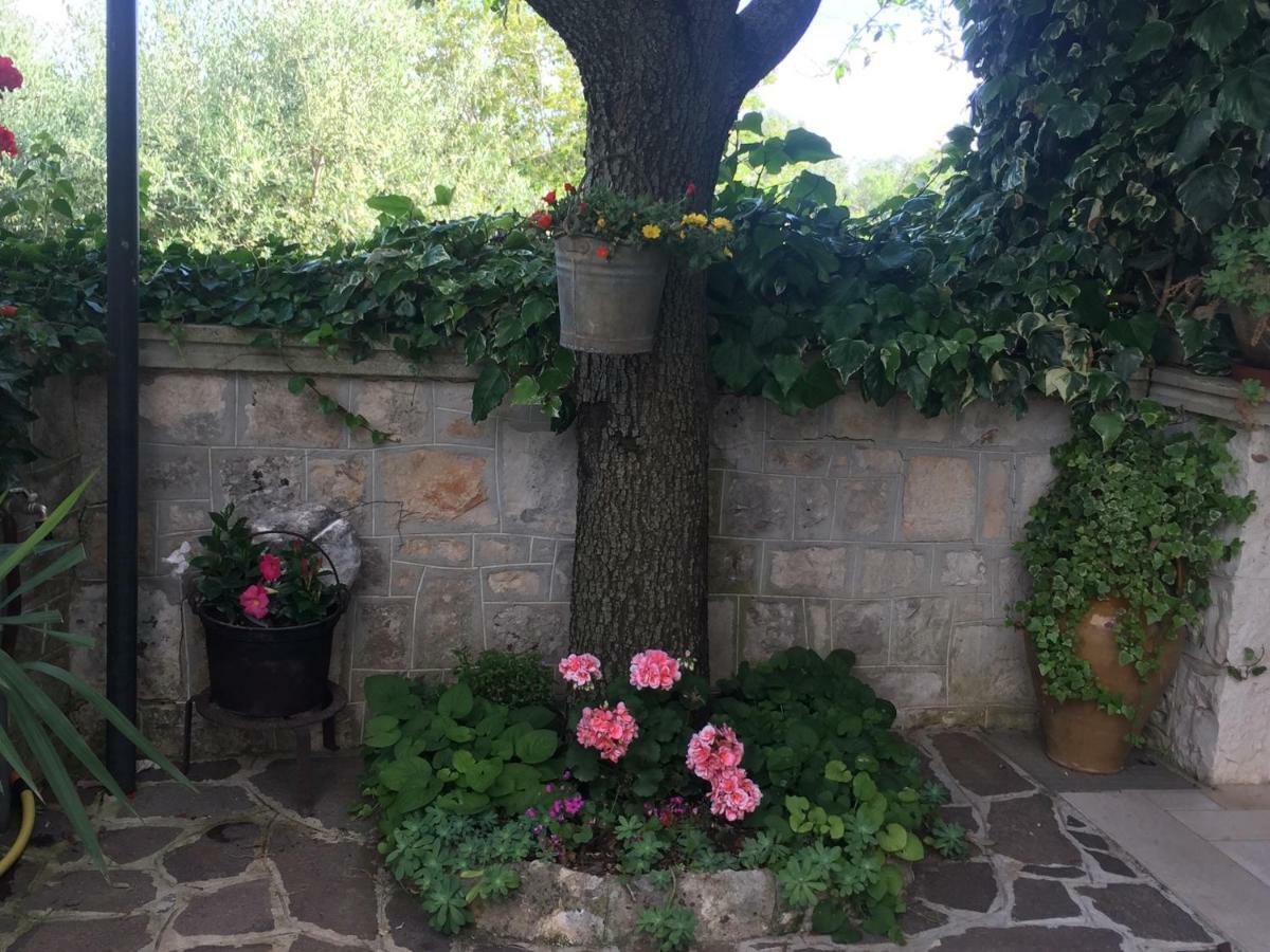 Il Trullo Di Nonno Angelo San Marco Hotel Locorotondo Ngoại thất bức ảnh