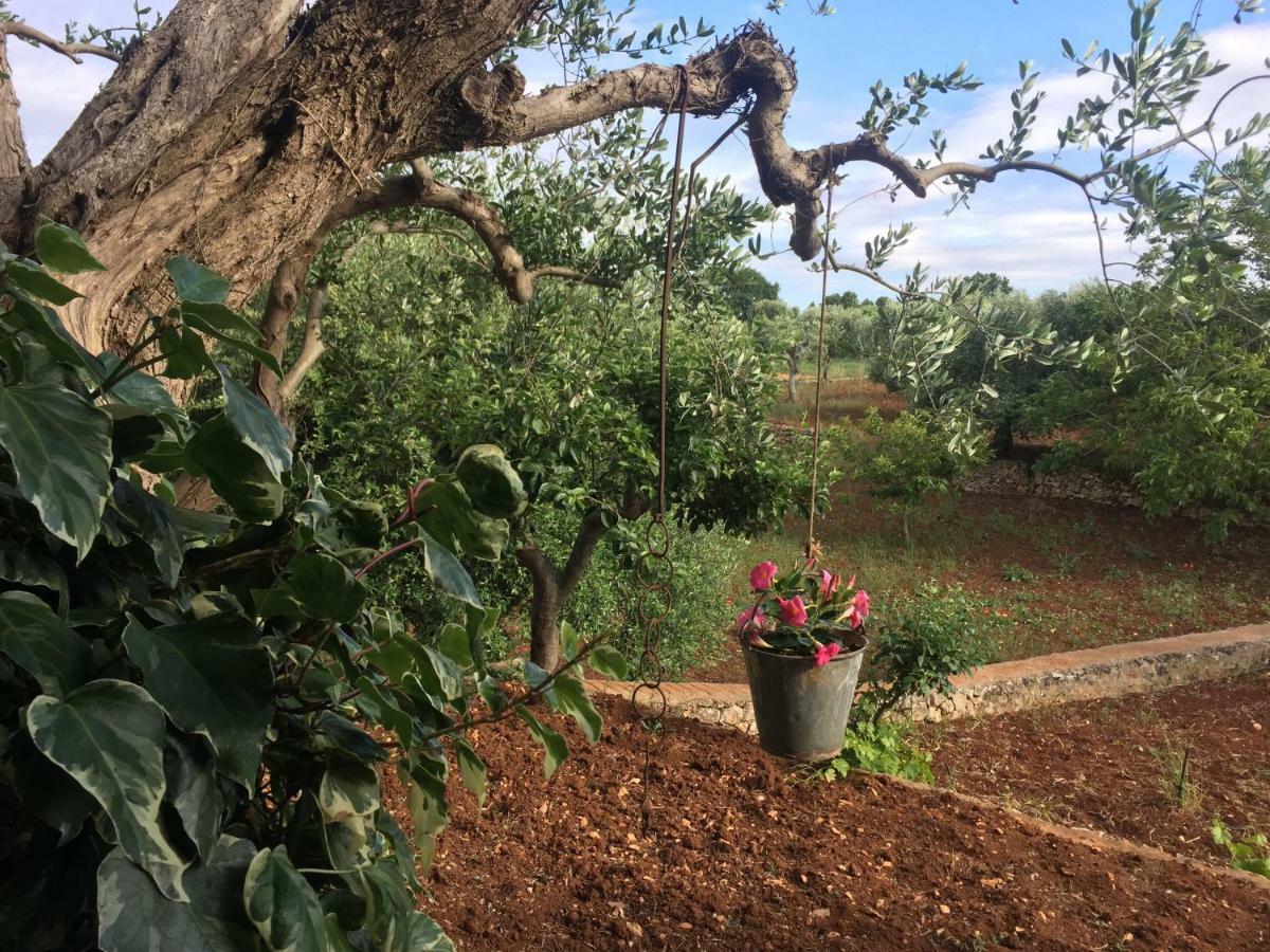 Il Trullo Di Nonno Angelo San Marco Hotel Locorotondo Ngoại thất bức ảnh
